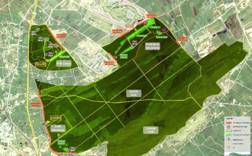 Forêt de Bouskoura-Merchich